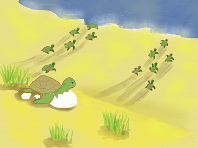 A digital illustration of a sea turtle hatching atop a sand dune, watching other hatchlings make their way out to sea.