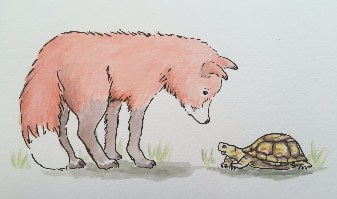 Fox & Turtle